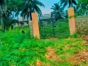 2 Plots Fenced and Gated for Sale in Agbama 1, Olokoro Umuahia