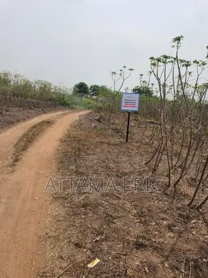 Plot of Land