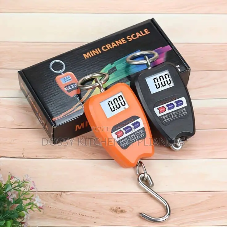 Mini Crane Scale