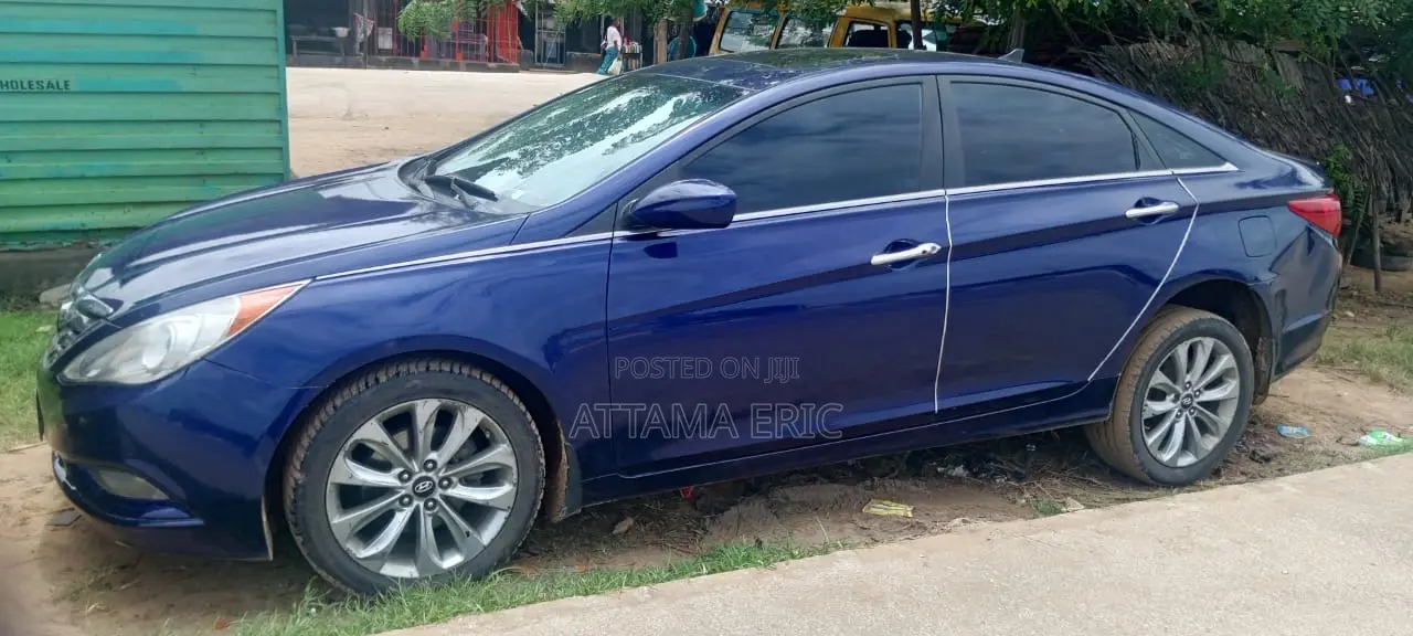 Hyundai Sonata 2011 Blue