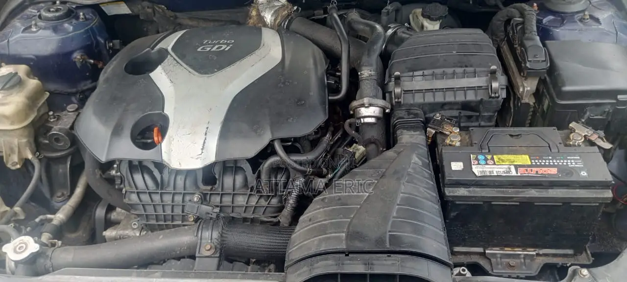 Hyundai Sonata 2011 Blue