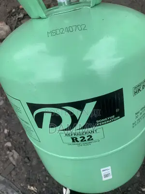 DY R22 Dy Refrigerator