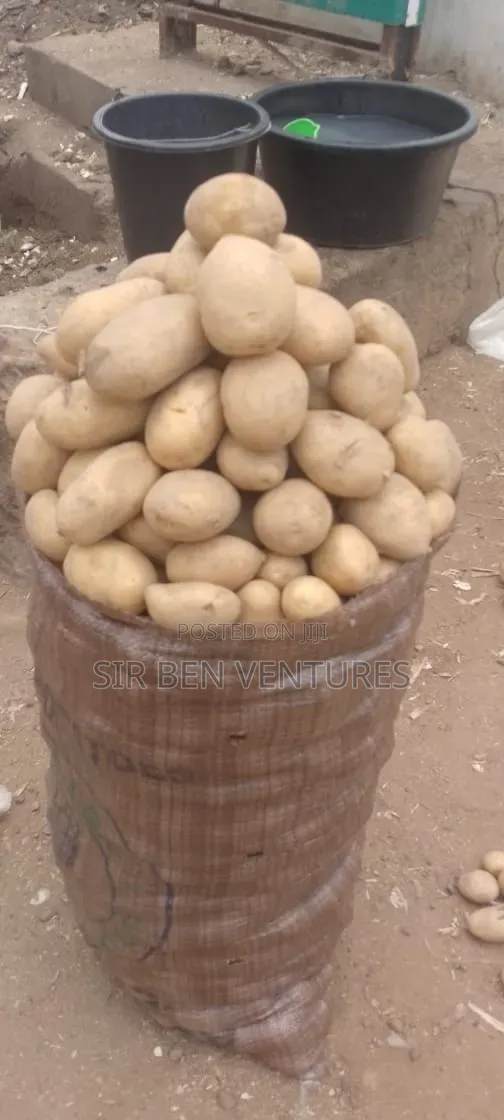 Potato at Its Best