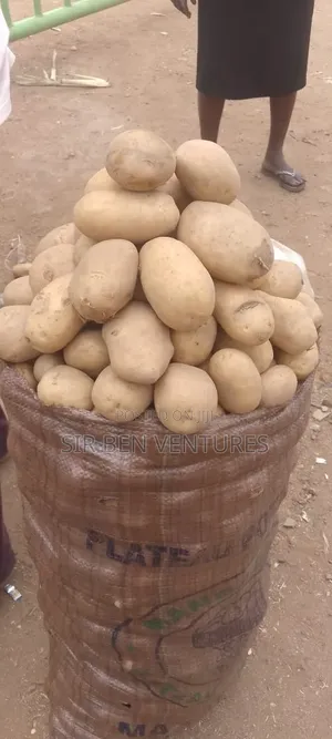 Potato at Its Best