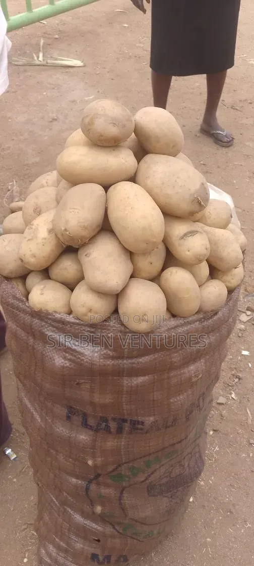 Potato at Its Best