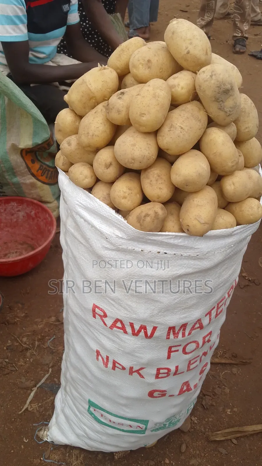 Potato at Its Best