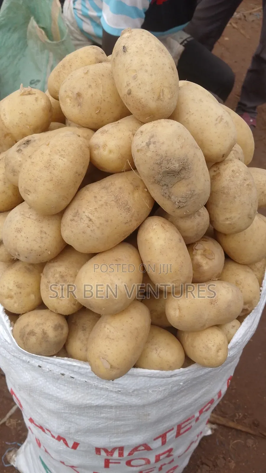 Potato at Its Best