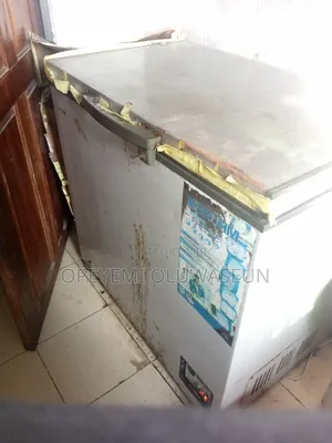Bruhm Inverter Freezer