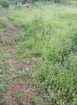 10 Acres of Land for Sale