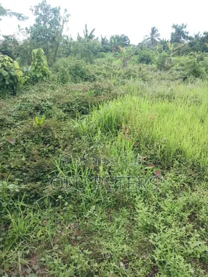 10 Acres of Land for Sale