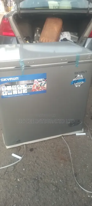 Skyrun Freezer Bd155hi