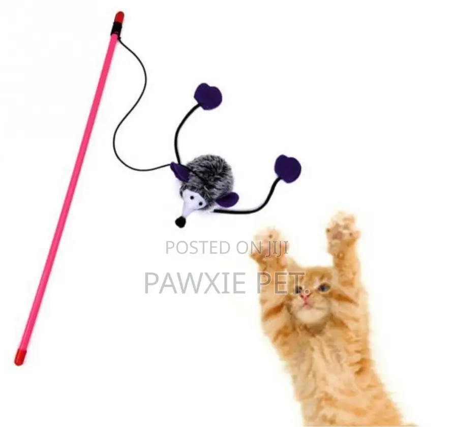 Nunbell Cat Toy