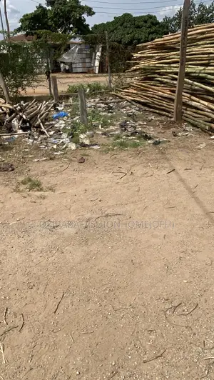 Bamboos Stick