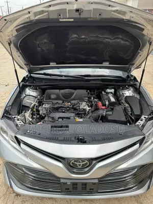 Toyota Camry LE (2.5L 4cyl 8A) 2019 Silver