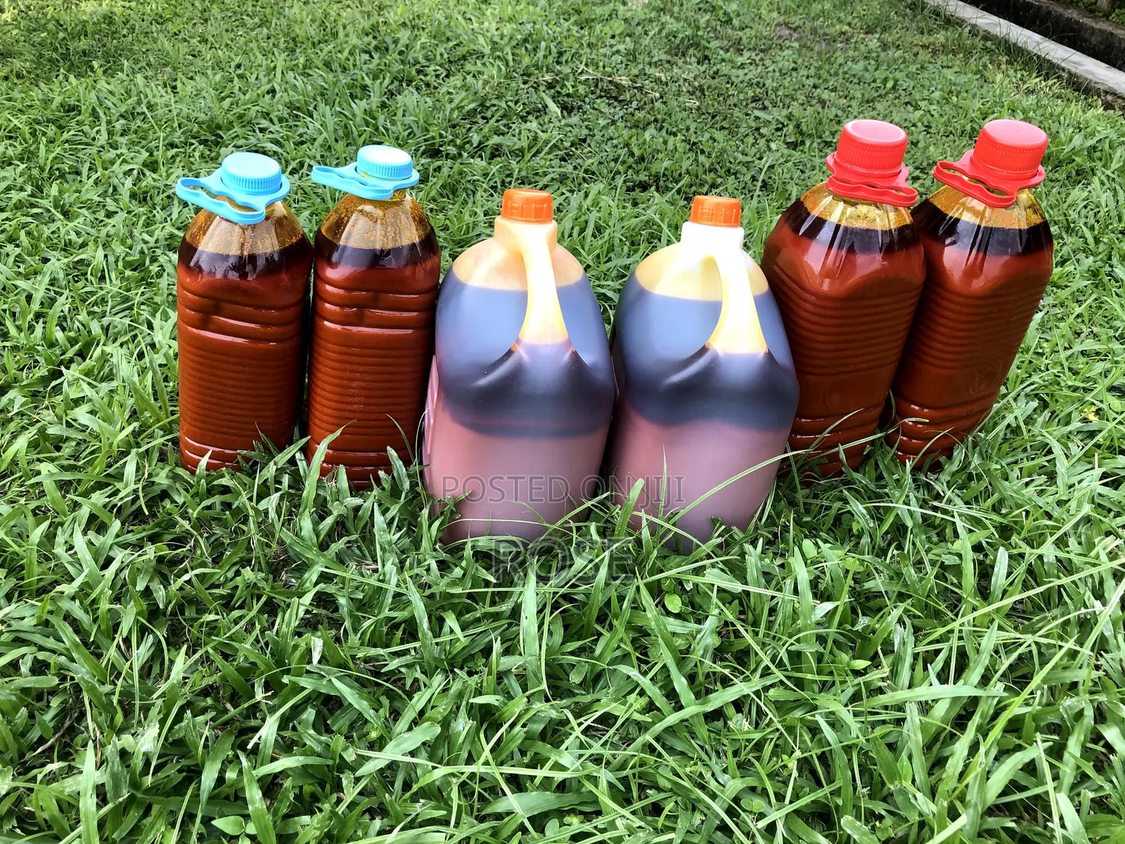 Premium Fresh Red Palm Oil