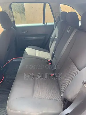 Ford Edge 2008 Orange