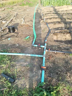 Drip Tape Irrigation Setup