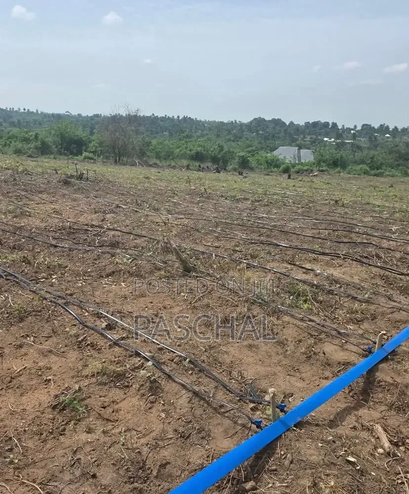 Drip Tape Irrigation Setup
