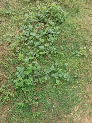 Commercial Land for Sale in Apo, Abuja. 2500sqm.