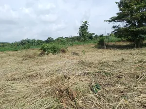 Farm Setup and Consulting