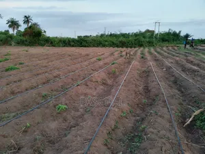 Farm Setup and Consulting