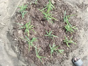 Farm Setup and Consulting