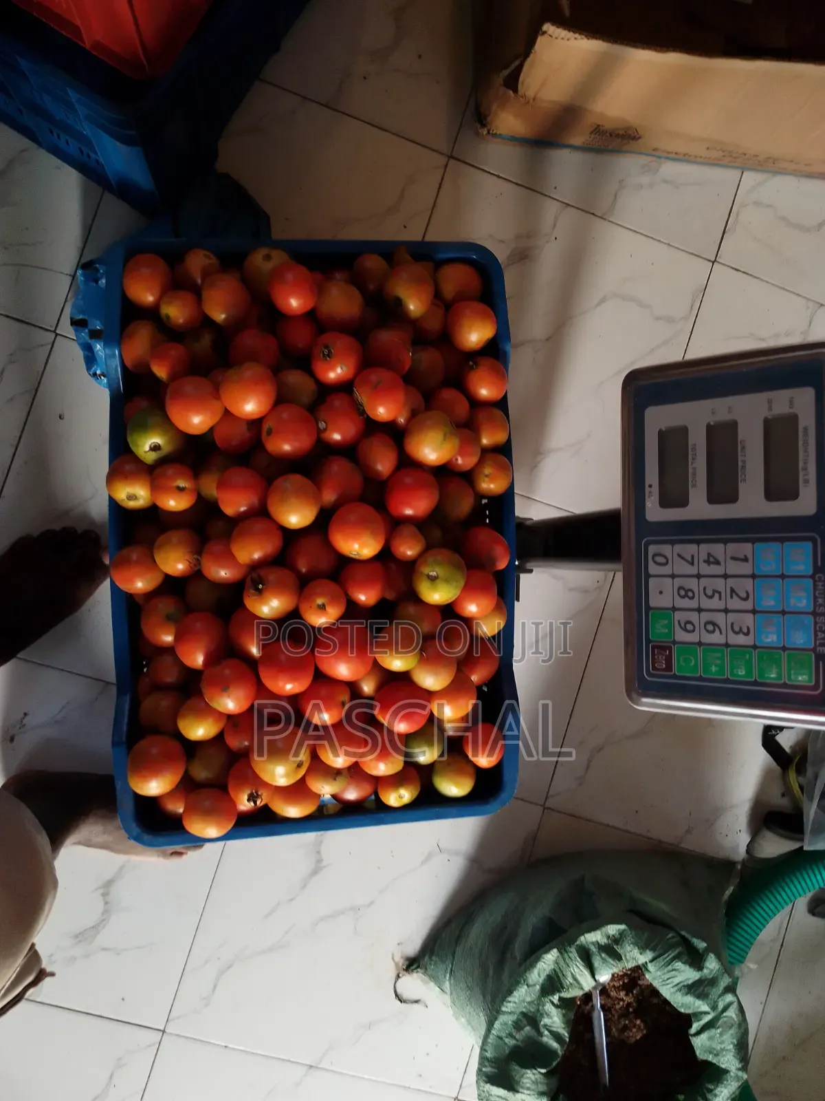 Farm Setup and Consulting