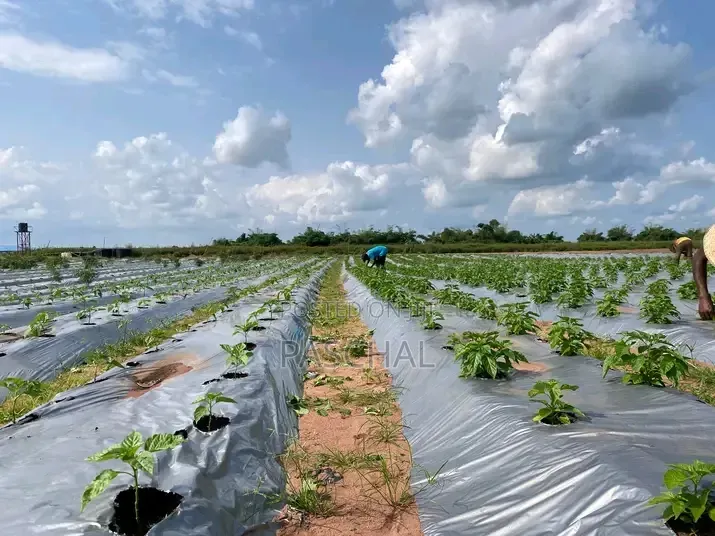 Farm Setup and Consulting