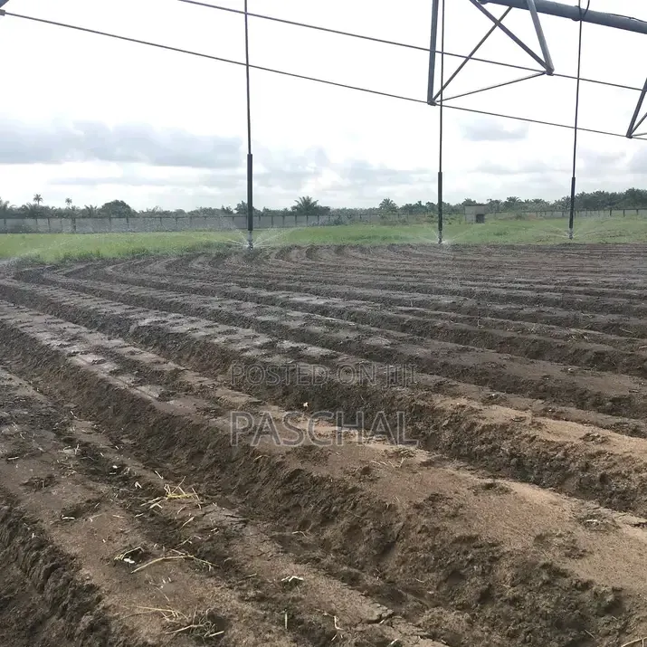 Farm Setup and Consulting