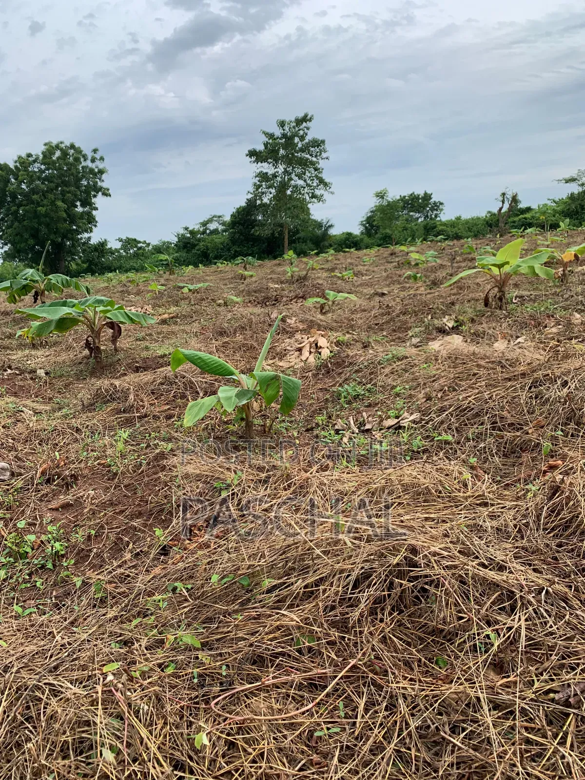 Farm Setup and Consulting