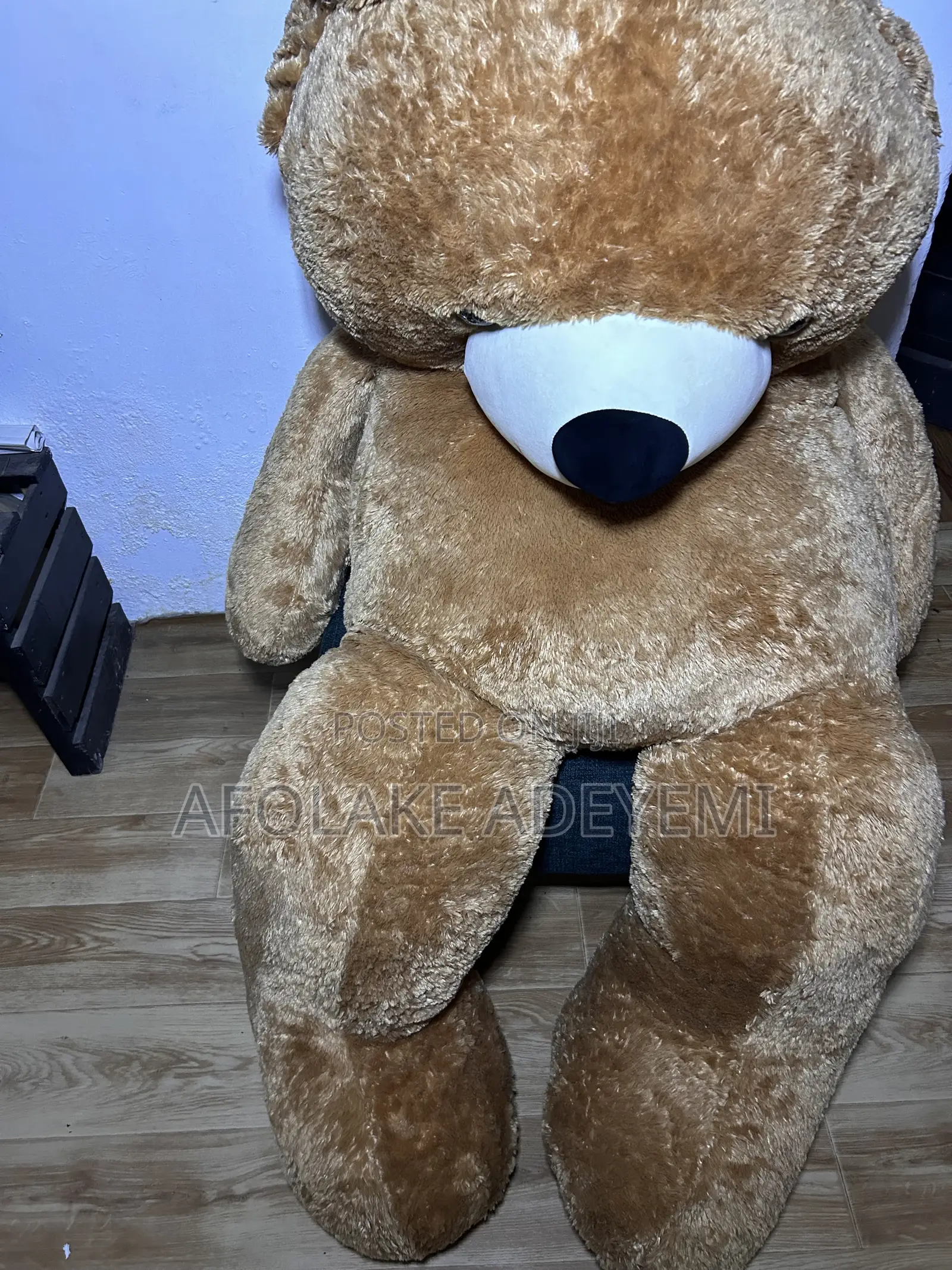 Teddy Bear