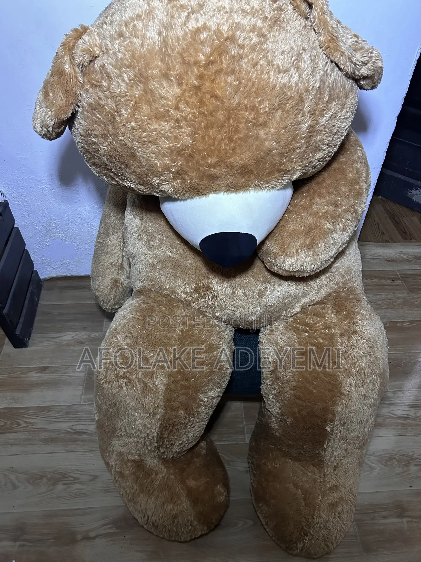 Teddy Bear
