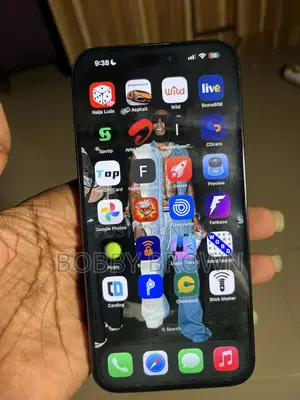 Apple iPhone 15 Pro Max 256 GB Black