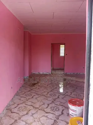 Wall Screeding and Painting
