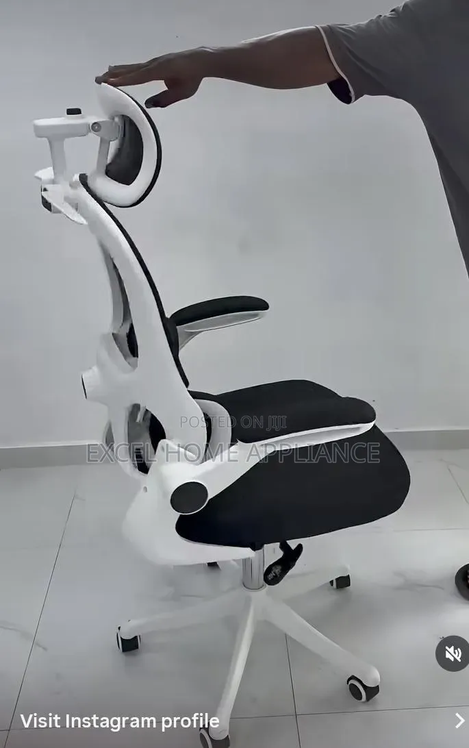 Luxury Ergonomic Executive Office Chair With Adjustable Headrest