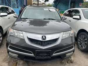 Acura MDX 2010 Gray