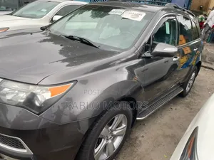 Acura MDX 2010 Gray