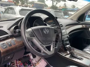 Acura MDX 2010 Gray