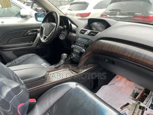 Acura MDX 2010 Gray