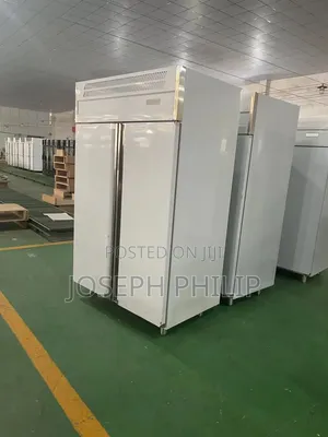 Upright Double Door Fridge