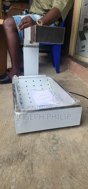Chip Fryer