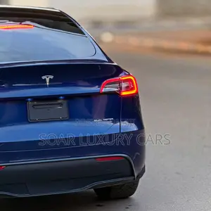 Tesla Model Y 75D kWh Performance 2023 Blue