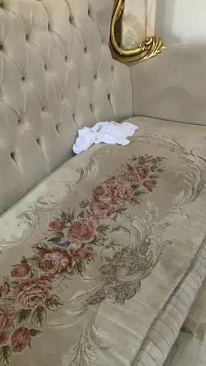 Clean Professionally in Abuja