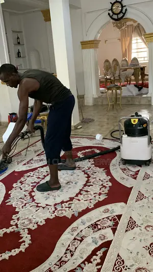 Clean Professionally in Abuja