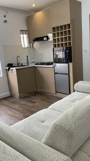 Clean Professionally in Abuja