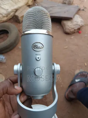 Blue Microphones