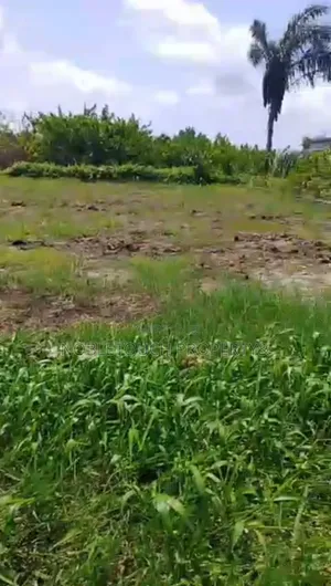 Dry Table Half Plot of Land at Ibeju Lekki