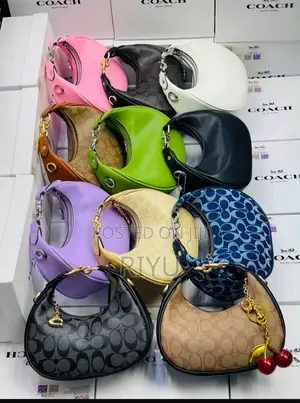 COACH Chic Bag