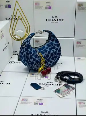 COACH Chic Bag