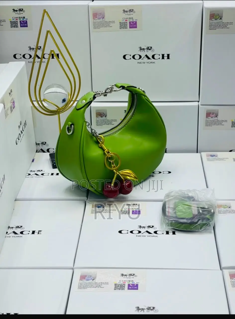 COACH Chic Bag